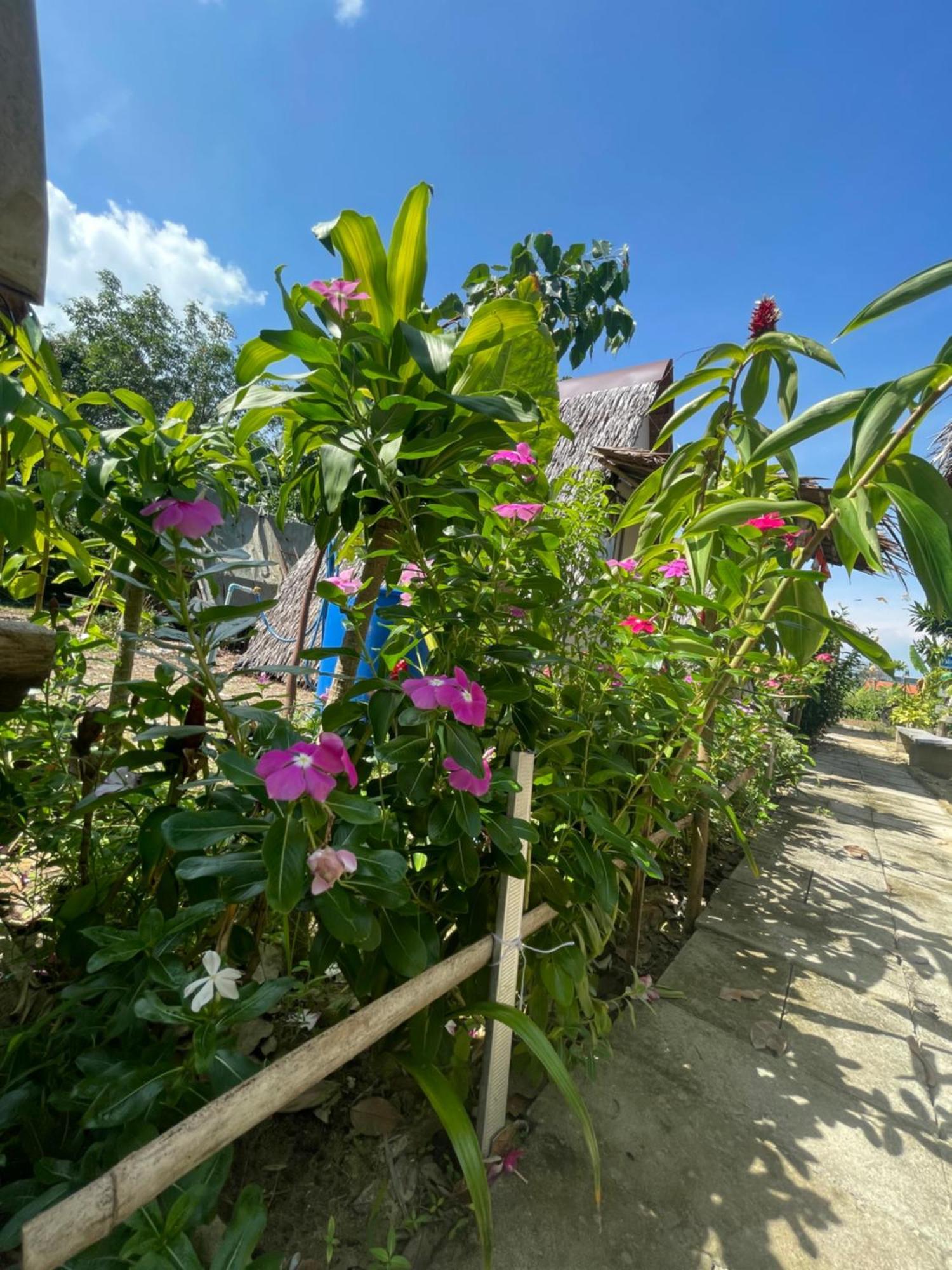 Отель Phuketairportcamping Ban Bo Sai Klang Экстерьер фото